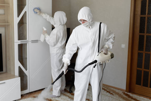 24/7 Emergency Odor Removal experts in Scranton, AR
